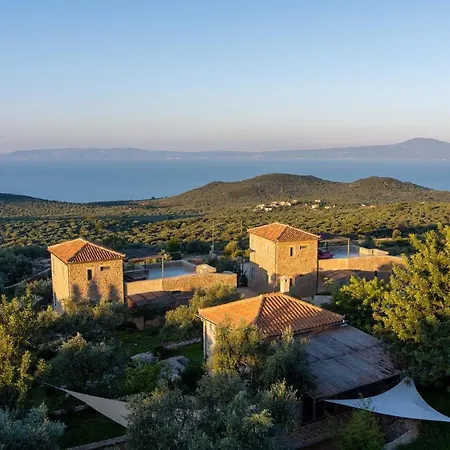 Zen Rocks Kalianeika