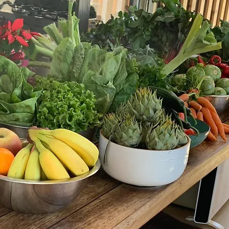 Zen Rocks Apart-hotel Kalianeika