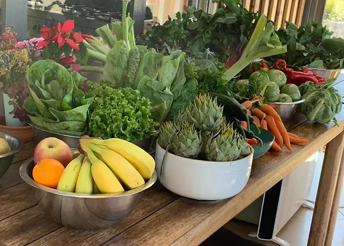 Zen Rocks Aparthotel Kalianeika