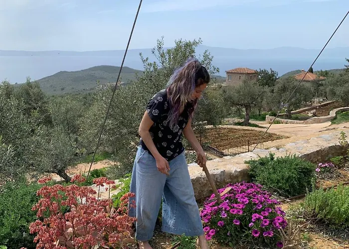 Aparthotel Zen Rocks Kalianeika