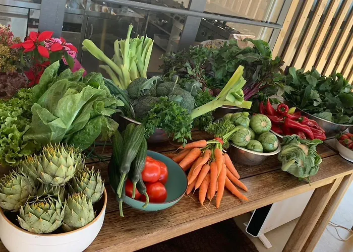 Aparthotel Zen Rocks